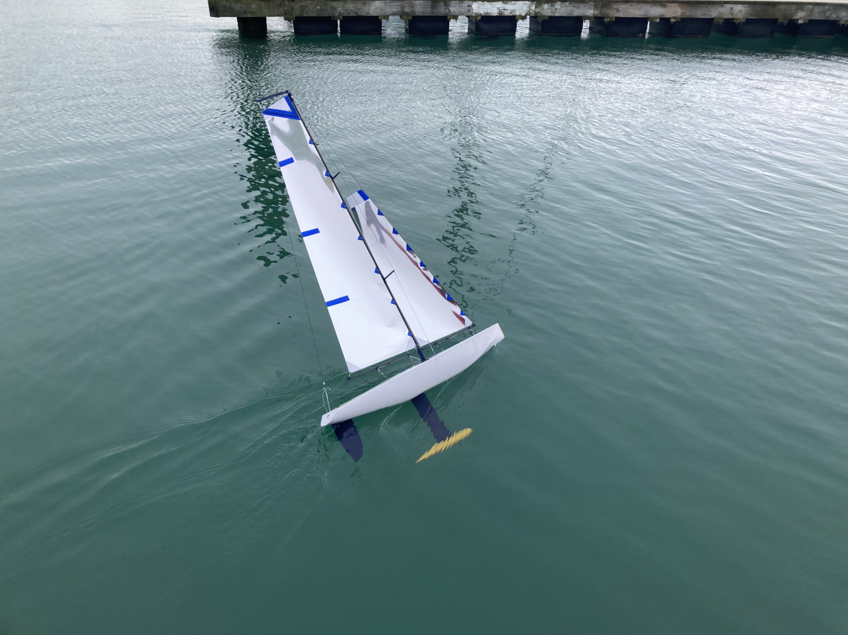 Un Passero da Corsa Stampato in 3D, 760mm RC