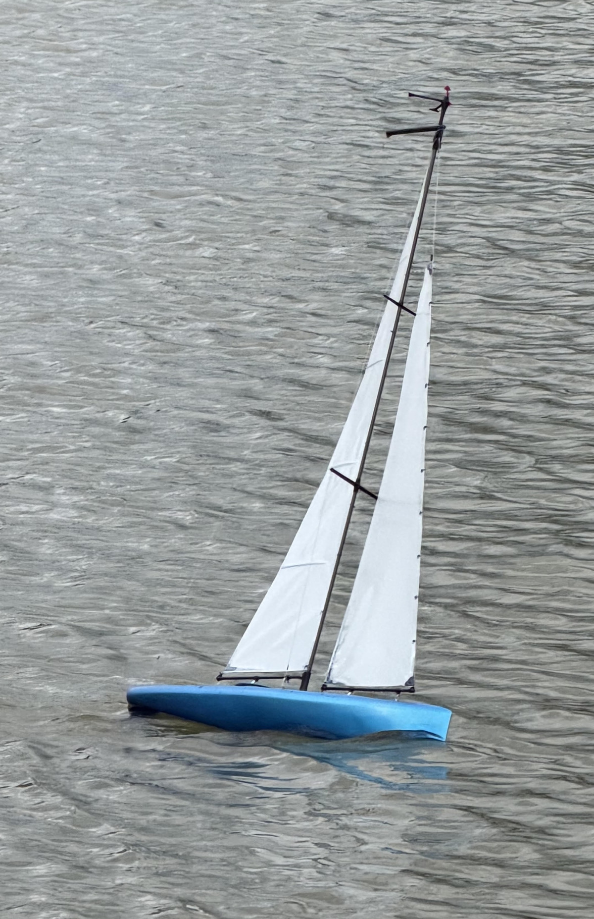 RS RG65 Shay Moran